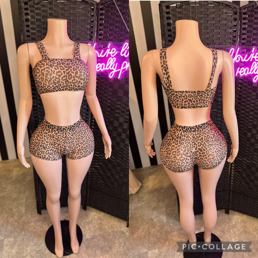 Leopard 2pc Mesh Set