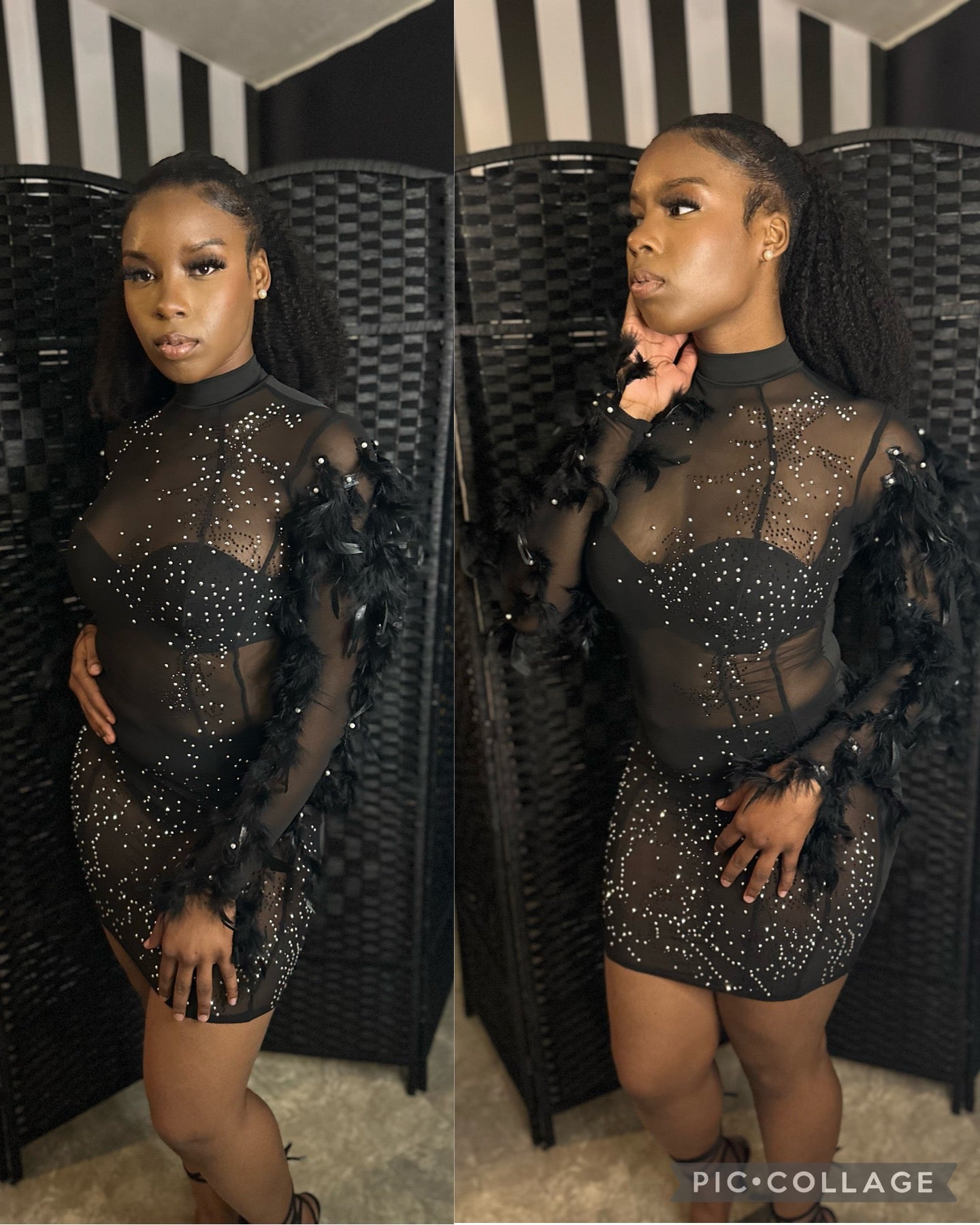 “Feather Sleeve” Black Dress