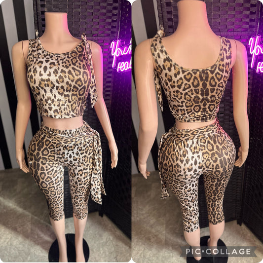 Leopard 2pc Tie Set