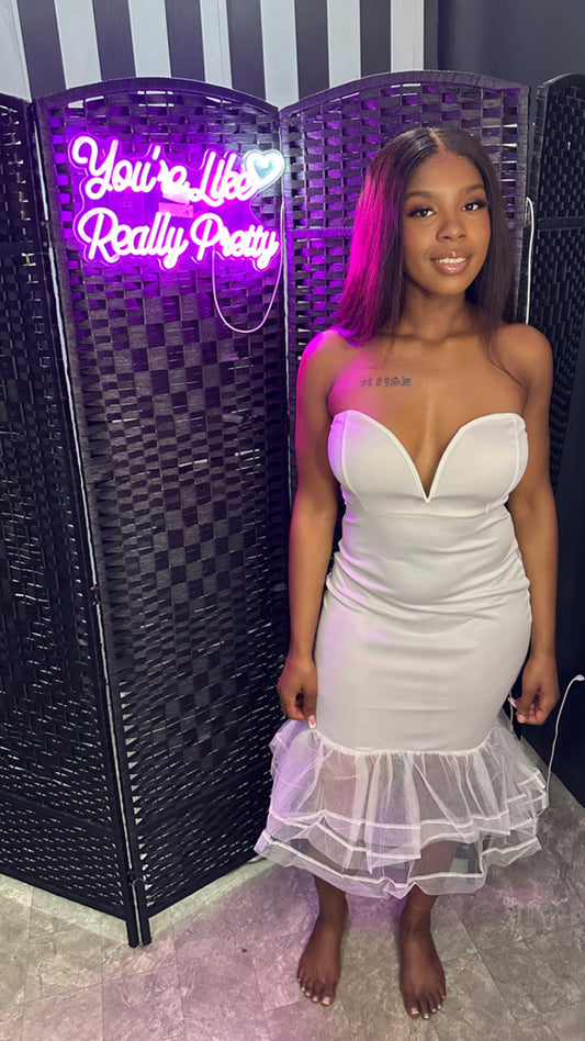 White Mesh Bottom Dress