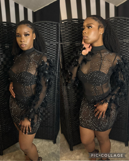 “Feather Sleeve” Black Dress