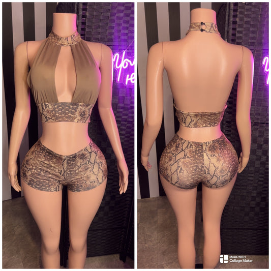 Brown Snake Print 2pc Set